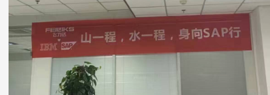 飛力達：SAP來了